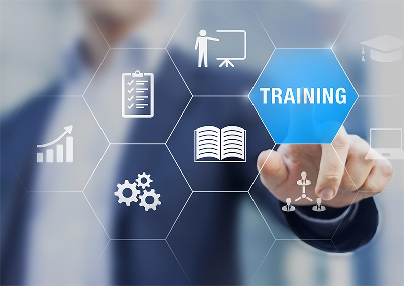 Effective user training and enablement through SAP S4E Service