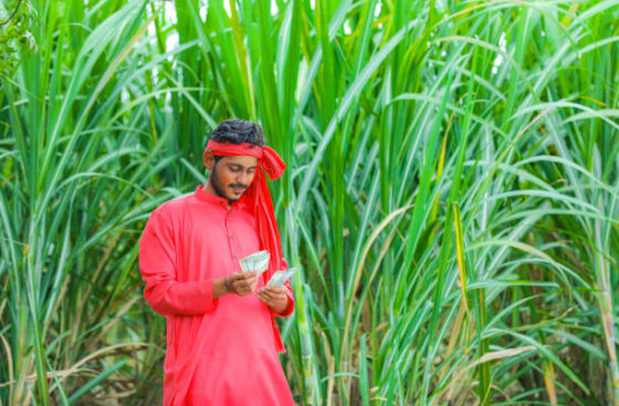 Cane Payment System with adjustments of Loan and Advances